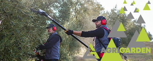 Abbacchiatore olive a batteria