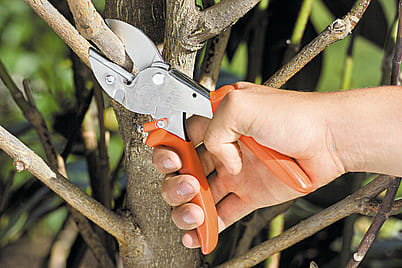 Forbice con taglio a battente LÖWE 1 Art 1107 con diametro di taglio di 22mm e peso di 285gr.