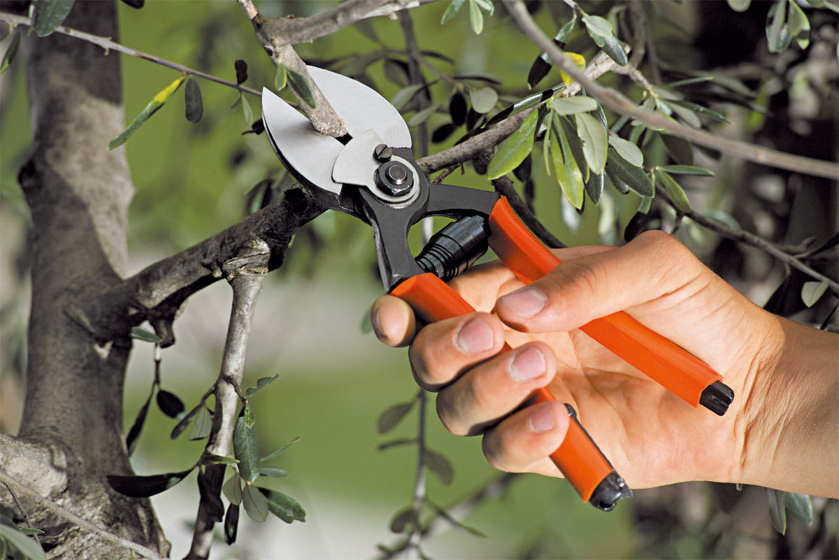 Forbice a doppio taglio 21 Stocker Art 380 con diametro di taglio di 22mm e peso di 342gr.