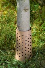 Treeguard protezione per tronco in plastica Stocker Art 4639 in plastica resistente.