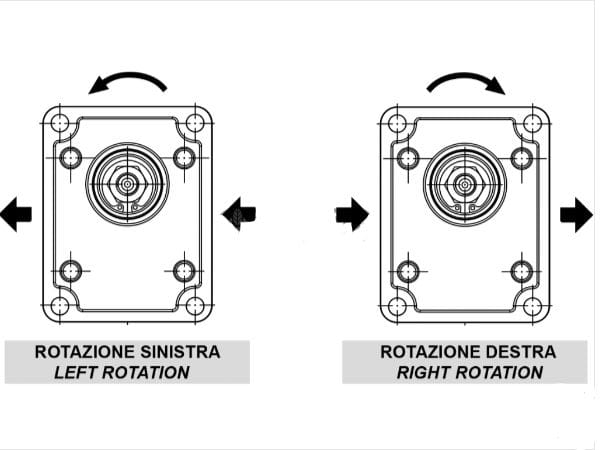 Pompa ad ingranaggi per Landini GRUPPO 2