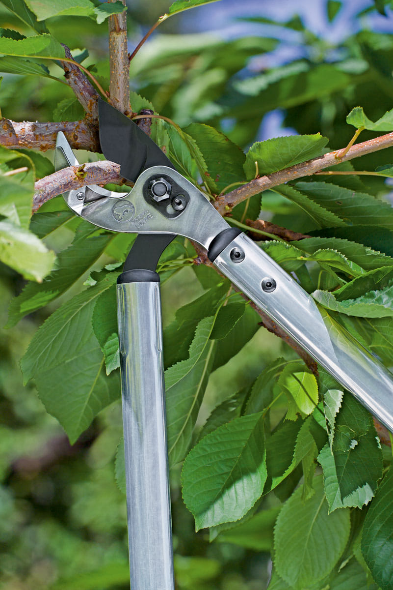 Troncarami a battente con lama curva LÖWE Profi Art 69065 con diametro di taglio di 50mm e peso di 1.100gr.
