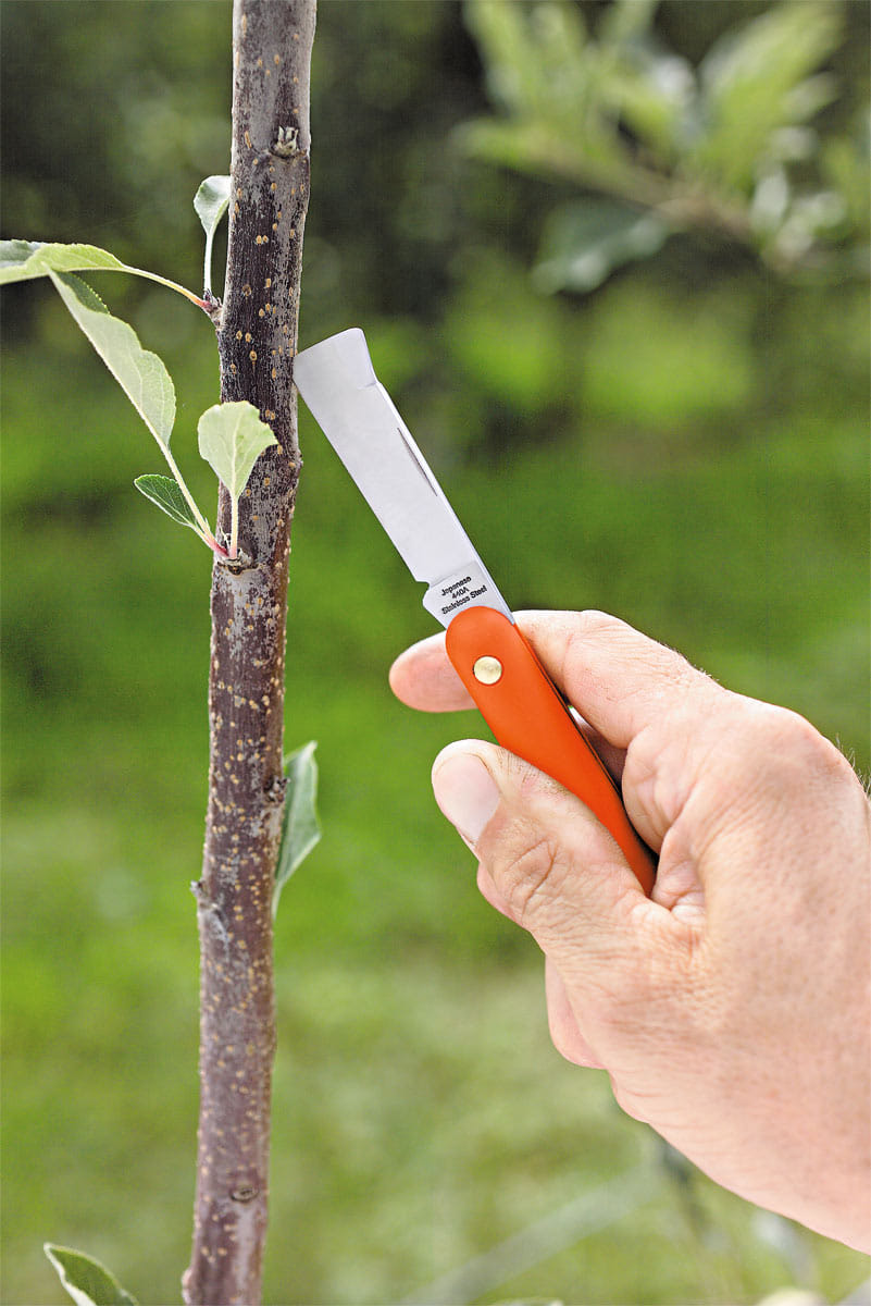 Coltello da innesto Stocker art. 785 con lama in acciaio temperato