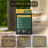 Seme per prato micorizzato Zeus Verilea - Universale e resistente al calpestio.