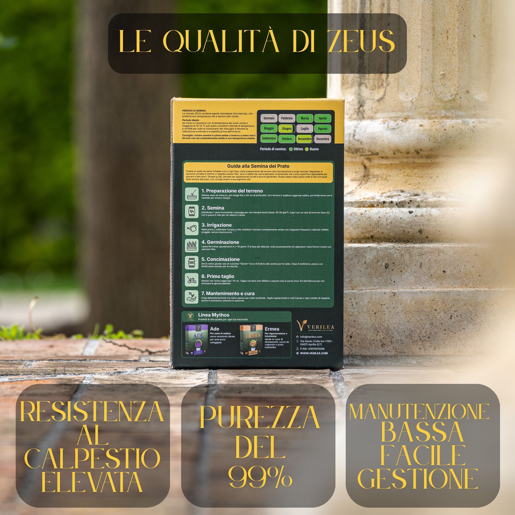 Seme per prato micorizzato Zeus Verilea - Universale e resistente al calpestio.