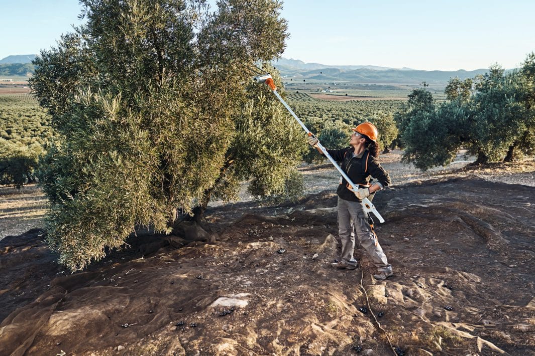 Abbacchiatore Stihl SPA 140 a batteria da 3,1kg con asta telescopica.