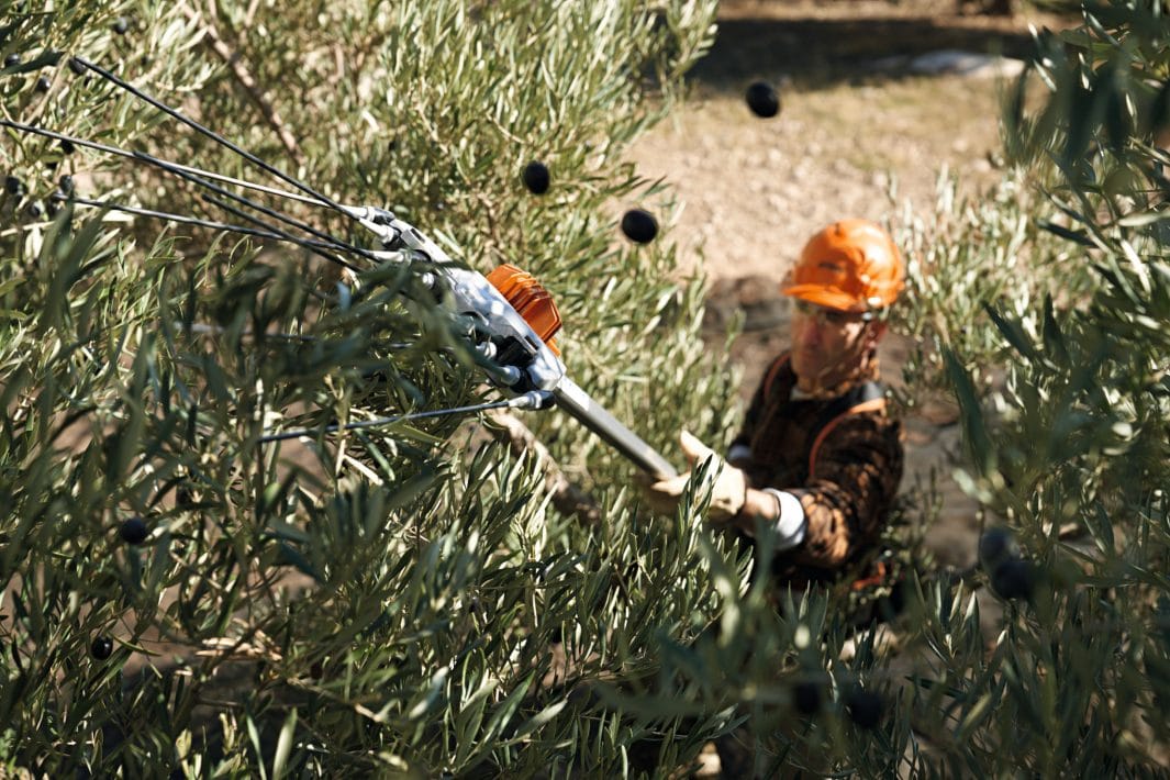 Abbacchiatore Stihl SPA 130 a batteria da 2,6kg con asta fissa da 220cm.