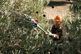 Abbacchiatore Stihl SPA 130 a batteria da 2,6kg con asta fissa da 220cm.