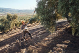 Abbacchiatore Stihl SPA 130 a batteria da 2,6kg con asta fissa da 220cm.