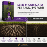 Seme per prato micorizzato Ade Verilea - Alta tolleranza alle zone d'ombra