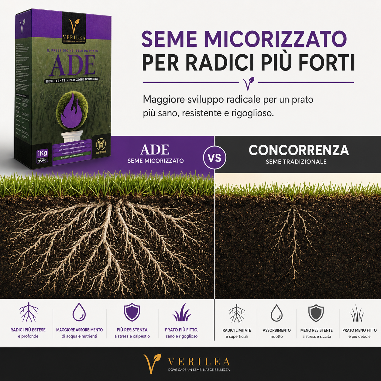 Seme per prato micorizzato Ade Verilea - Alta tolleranza alle zone d'ombra