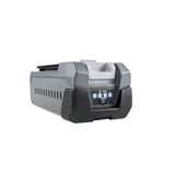 Batteria Oleomac Bi 540
