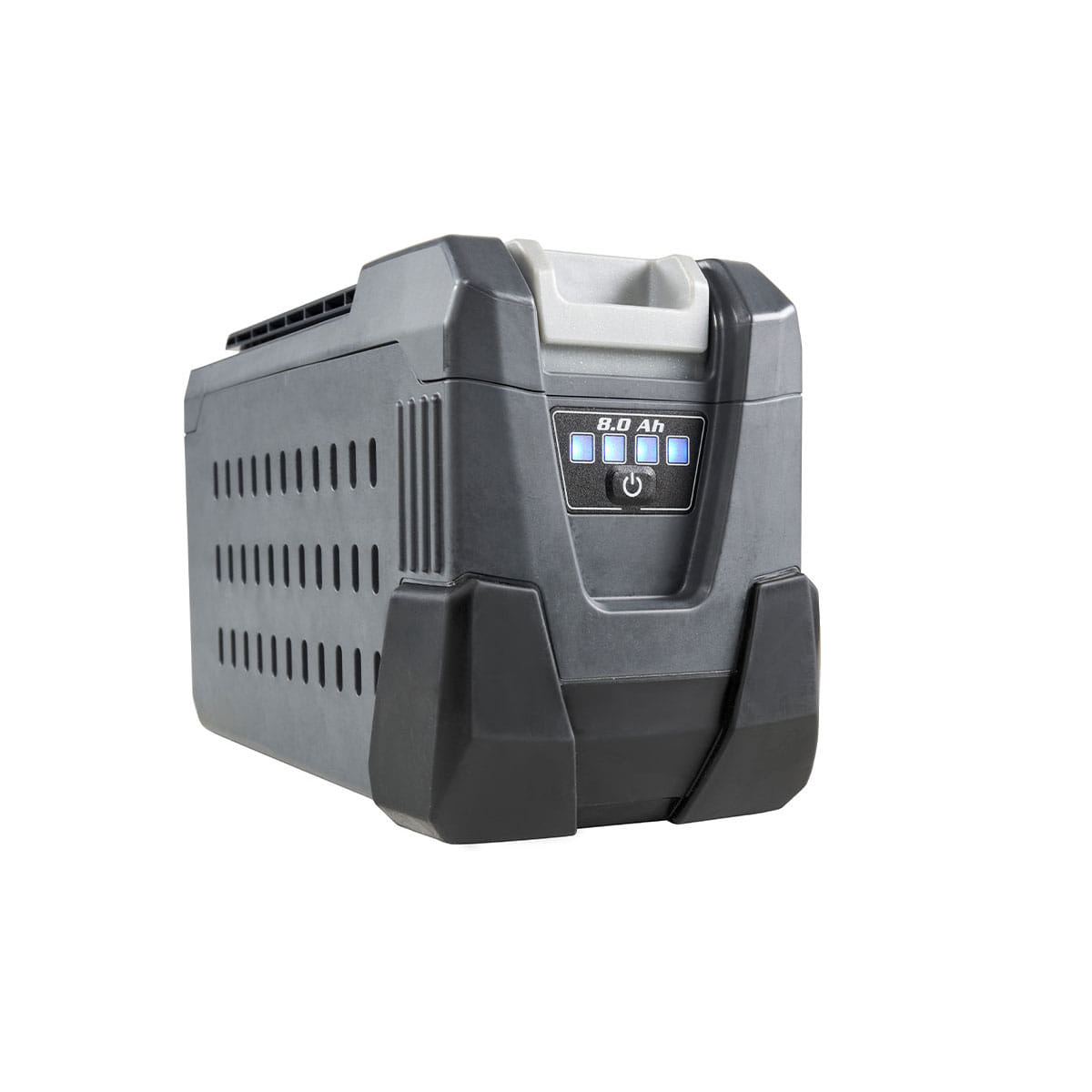 Batteria Oleomac Bi 580