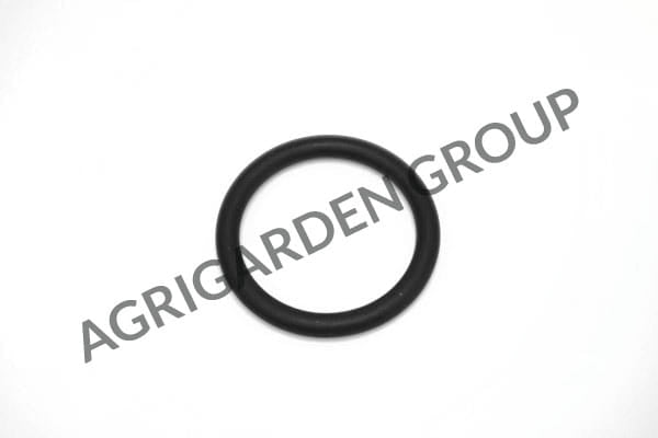 Anello di tenuta collettore aspirazione motore Briggs&Stratton 270344 s
