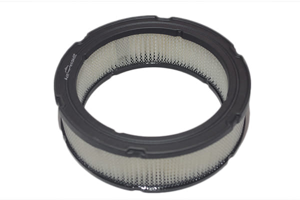 Filtro aria motore Briggs&Stratton a 2 cilindri e valvole laterali, orizzontali, v-twin vanguard