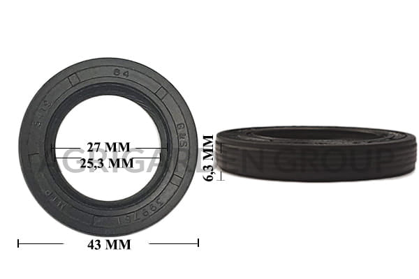 Paraolio Briggs&Stratton motore Quantum, Intek, Europa 399781 s, 399781, 691989