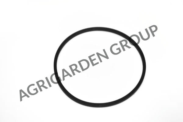 Guarnizione vaschetta Briggs&Stratton 280492, 693981 per quantum & intek verticali