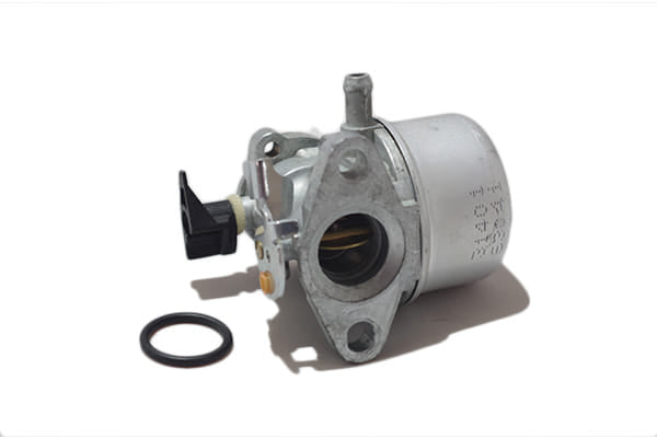 Carburatore Briggs&Stratton5 hp 493265, 494217, 493868, 790978