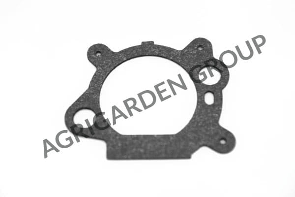 Guarnizione coperchio filtro aria Briggs&Stratton 795629, 272656S, 272653