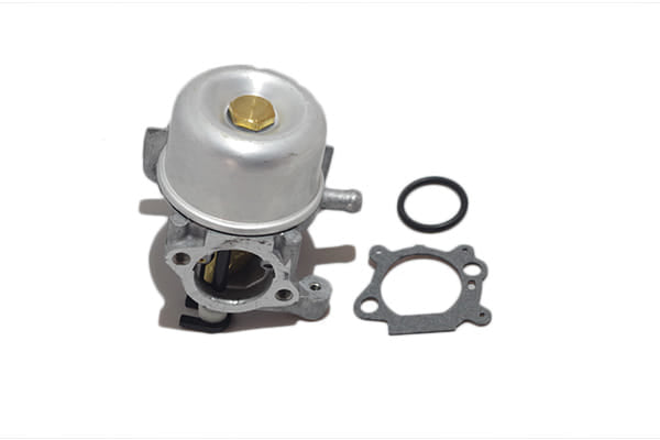 Carburatore Briggs&Stratton 799866, 794304, 796707