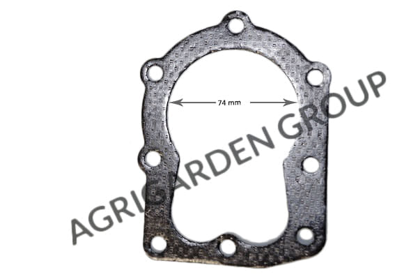 Guarnizione motore Tecumseh 5 hp, 192 cc 29620005, 29620013, 29620014, 29620016, 32643