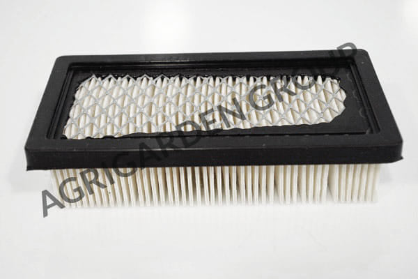 Filtro aria motore Tecumseh geotec, 23410061