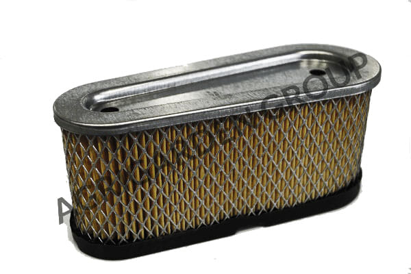 Filtro aria motore Tecumseh enduro ohv, 36356