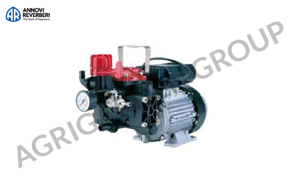 Elettropompa monofase per trattamenti AR252 1,5 HP con regolatore di pressione e manometro.