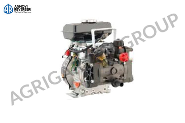 Motopompa per trattamenti AR 202/Rato 4T 2,5 HP con regolatore di pressione su carrello.