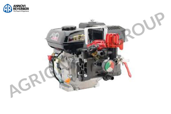 Motopompa per trattamenti AR 252/Rato 4T 5 HP con manometro eregolatore di pressione