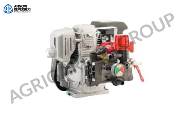 Motopompa per trattamenti AR 252/Honda 4T 4,8 HP con manometro e regolatore di pressione.
