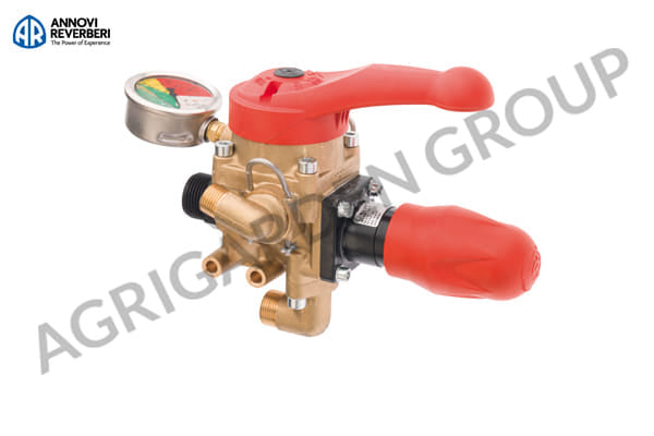 Gruppo comando monovella 2 vie BMS 50, per pompa AR 1203 C/C, AR 1604 C/C Annovi Reverberi