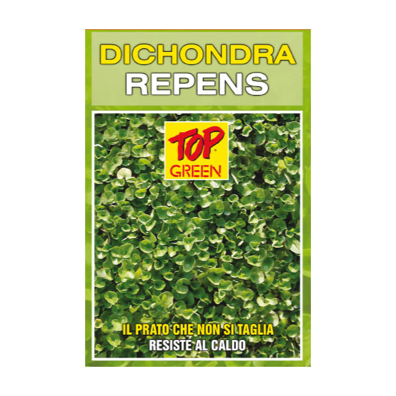 Seme per prato Padana Sementi DICHONDRA REPENS sacco da 10 KG