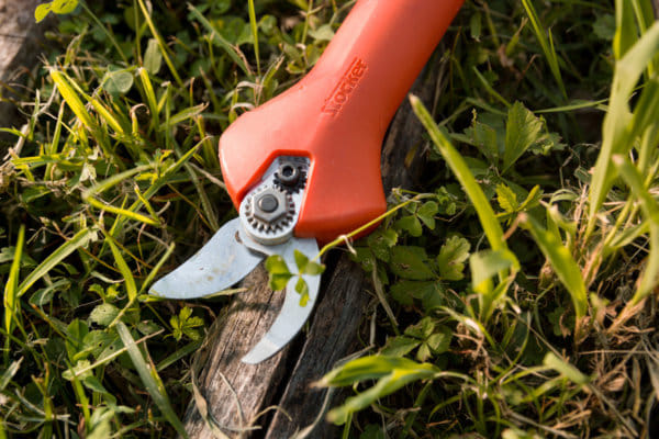 Forbice Stocker Kantia E-22 TR ad asta fissa 180cm