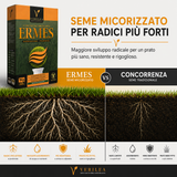 Seme per prato micorizzato Ermes Verilea - per rigenerazione e trasemina