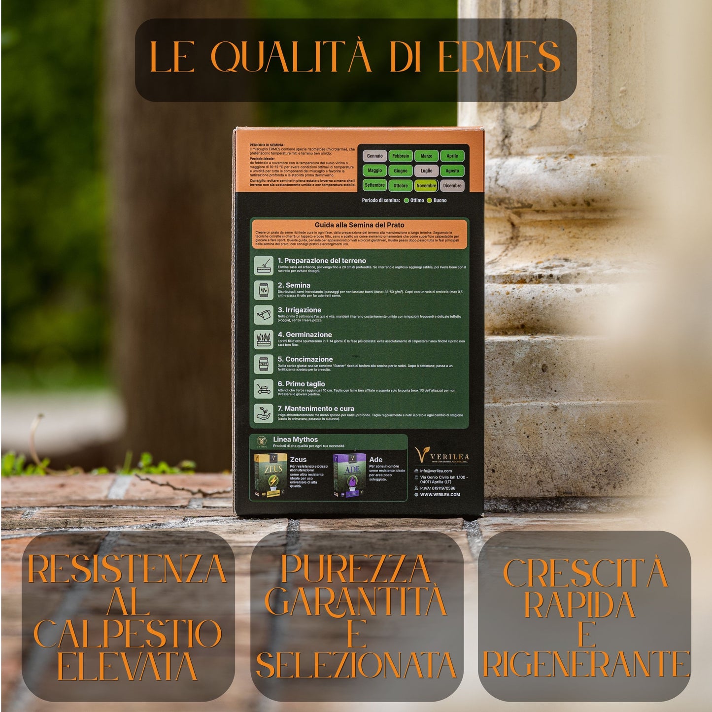 Seme per prato micorizzato Ermes Verilea - per rigenerazione e trasemina