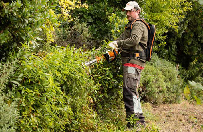 Tagliasiepe a batteria Stihl HSA 130 R della linea PRO per siepi robuste e spesse con lama da 75cm.