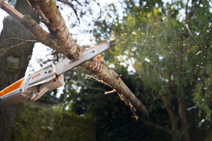 Potatore a batteria ad asta fissa Stihl HTA 50 con lunghezza massima di 280cm.