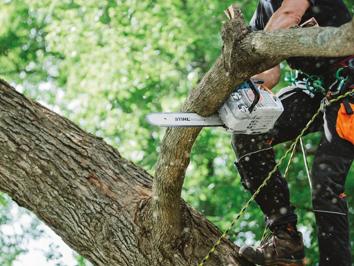 Motosega a scoppio Stihl MS 151 TC-E da 2,6 kg con barra da 25 cm