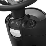 Trattorino rasaerba rider Stihl RT 4082 con cambio idrostatico e sacco di raccolta.