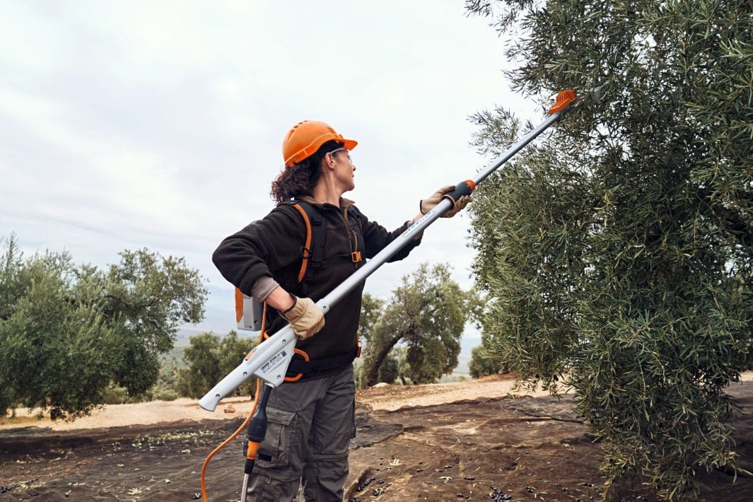 Abbacchiatore Stihl SPA 140 a batteria da 3,1kg con asta telescopica.