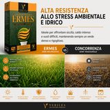 Seme per prato micorizzato Ermes Verilea - per rigenerazione e trasemina