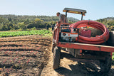Pompa per acqua WP600 STIHL con motore 4 tempi da 63 m3/h.