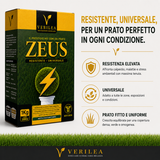 Seme per prato micorizzato Zeus Verilea - Universale e resistente al calpestio.