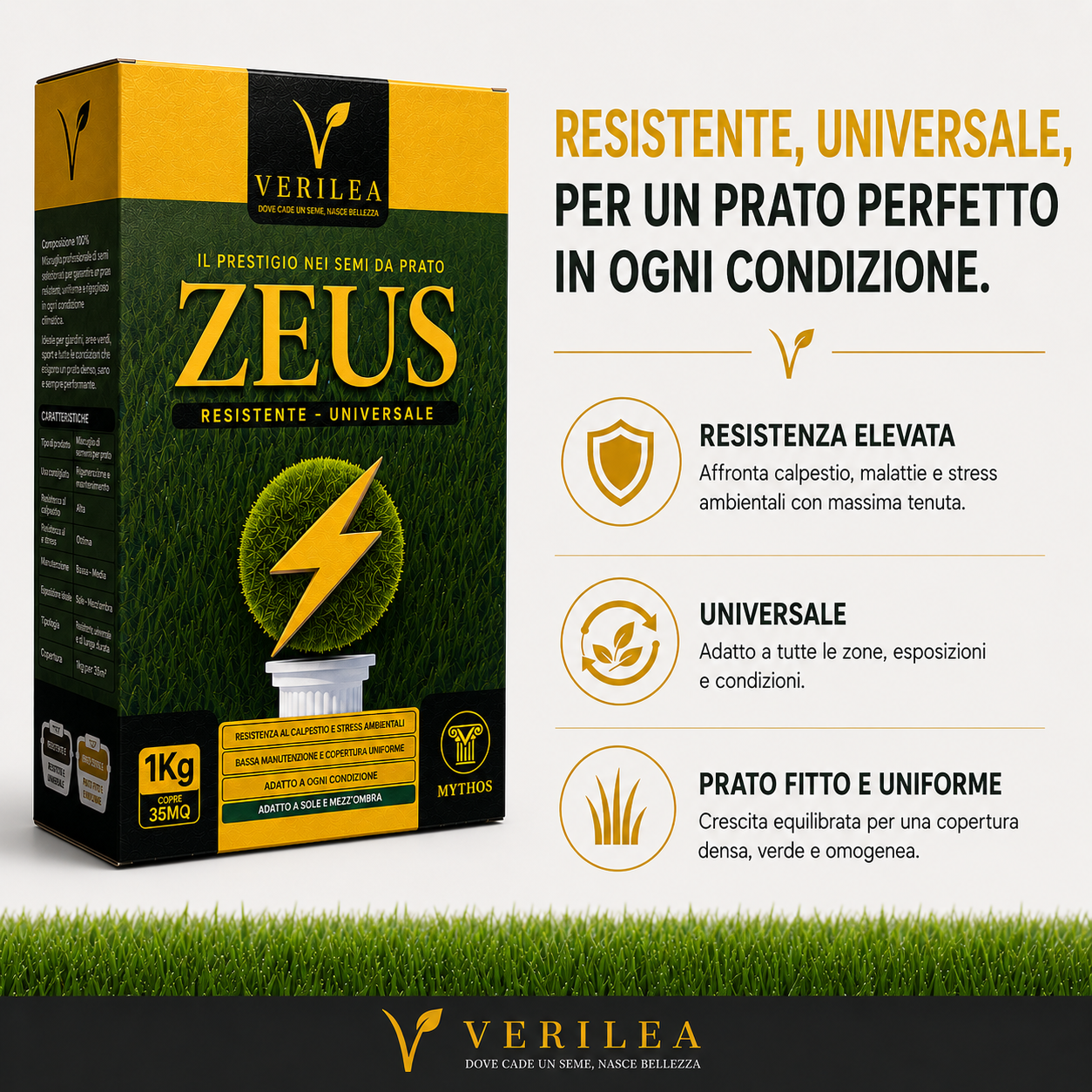 Seme per prato micorizzato Zeus Verilea - Universale e resistente al calpestio.