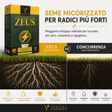 Seme per prato micorizzato Zeus Verilea - Universale e resistente al calpestio.