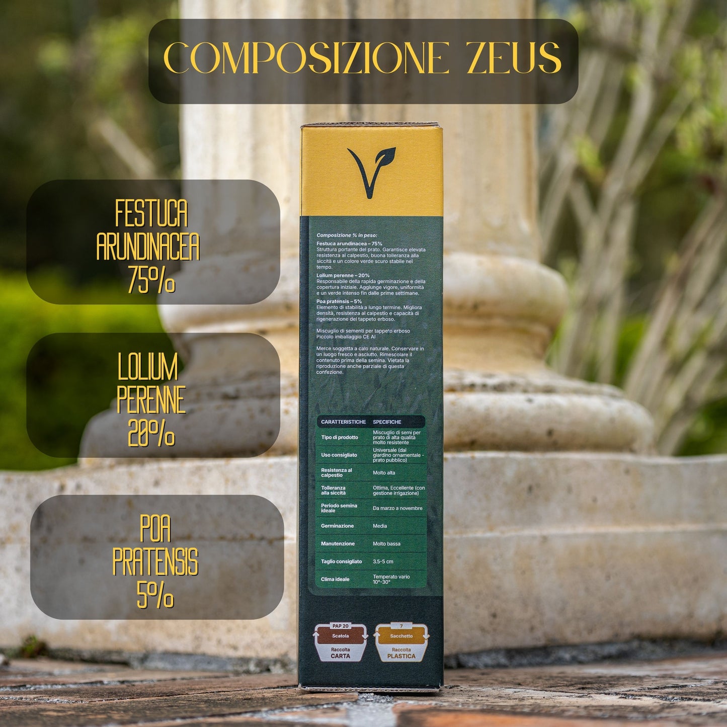 Seme per prato micorizzato Zeus Verilea - Universale e resistente al calpestio.