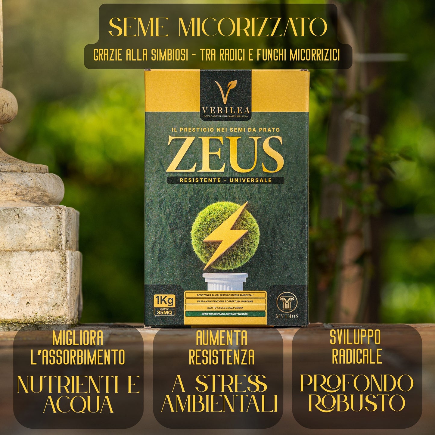 Seme per prato micorizzato Zeus Verilea - Universale e resistente al calpestio.